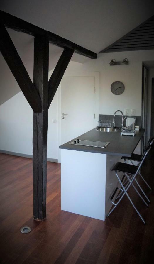 Feliciana In The Heart Of Old Town With Wawel'S View Apartment Krakow Exterior photo